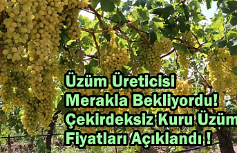 Üzüm Üreticisi Merakla Bekliyordu! Çekirdeksiz Kuru Üzüm Fiyatları Açıklandı !