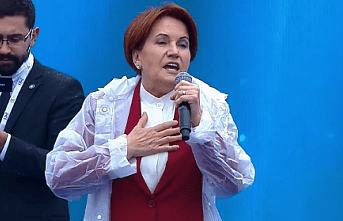 Haramiler gidiyor