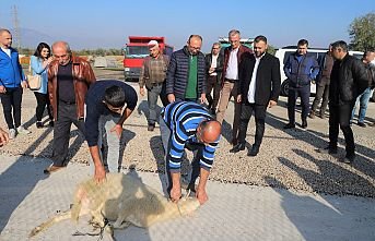 Yıllardır Çözülemeyen Yol Sorununu Çözen Başkan Akın İçin Esnaf Kurban Kesti
