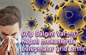 Grip Salgını Var Mı?