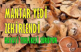 Mantar Yedi Zehirlendi ! Durumu Kritik!