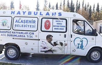 Sokak hayvanları için Haybulans  hizmeti vermeye başladı