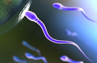 Sperm Donasyonu Nedir? Dinen Caiz Midir?