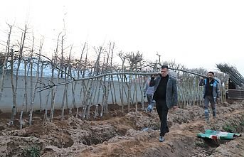 Alaşehir’e 1800 Adet Fidan Dikecek