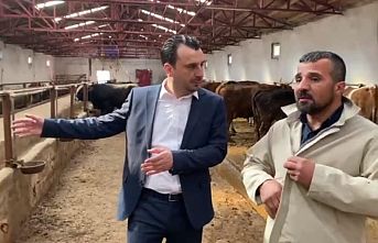 CHP’li Başevirgen Besicileri Dinledi : “Hiç Destek Vermeseler Daha İyi”
