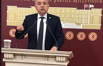 Et Desteği İşe Yarar mı?