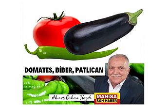 Domates, biber, patlıcan / Ahmet Orhan Yazdı...