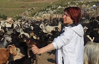 Kırkım Şenliği için tüm hazırlıklar tamam!