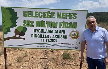 Ormanları Sadece Yangınlar Yok etmiyor