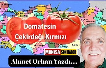 Domatesin Çekirdeği Kırmızı / Ahmet Orhan Yazdı...