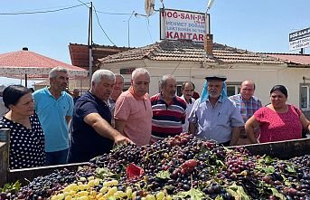 Kuru üzüm hemen alınmaya başlanmalı