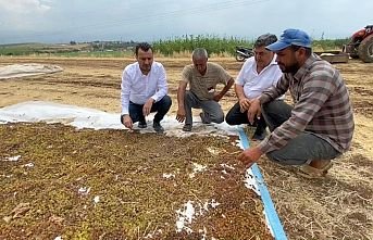CHP’li Başevirgen, “TMO Randevuları Kapattı, Üretici Tüccarın Eline Kaldı”