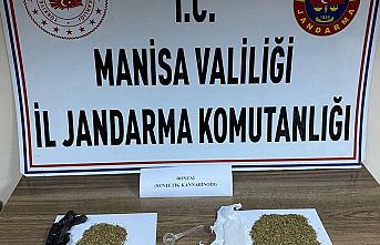 Bonzai ele geçirildi! 1 kişi gözaltına alındı