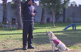 İz Takip Köpekleri Suçun Önlenmesinde Etkin Rol Oynuyor