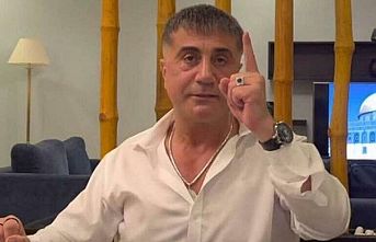 Sedat Peker : Belgeleri iki ayrı ülkeye gönderdim