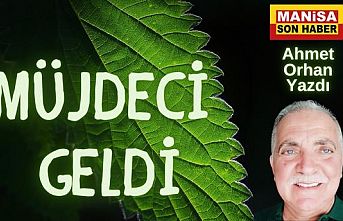 Müjdeci Geldi / Ahmet Orhan