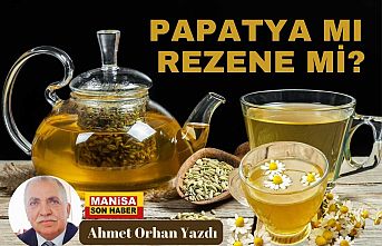 Papatya mı Rezene mi? / Ahmet Orhan Yazdı...