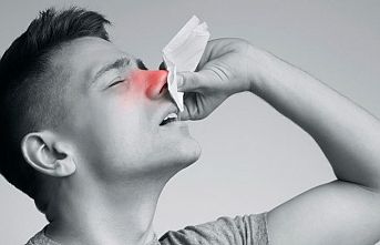Verilen genotiplerden hangisi hemofili hastası olur