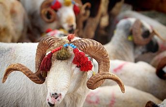 Kurban Bayramı tatilinin kaç gün olacağı açıklandı
