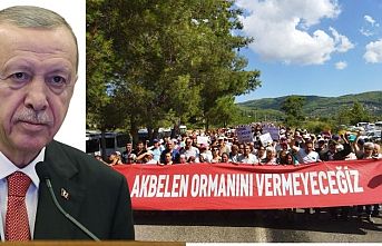 Erdoğan, "Kampanyaları ağaç sevgisiyle izah edemeyeceğimiz açıktır. Çevreci görünümlü marjinallere aldırmıyor, işimize bakıyoruz" dedi