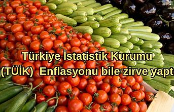 Türkiye İstatistik Kurumu (TÜİK)  Enflasyonu bile zirve yaptı
