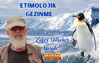 Etimolojik Gezinme / Zafer Dilşeker Yazdı...