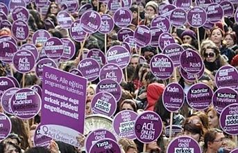 Mor Çatı'nın İstanbul Sözleşmesi Hakkında Danıştay’da Verdiği Beyan
