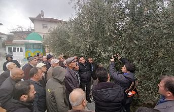 Demirci İlçe Tarım Müdürlüğünden “Zeytin Eğitim Programı”