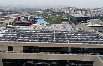 GES binlerce ağacı kurtarıyor