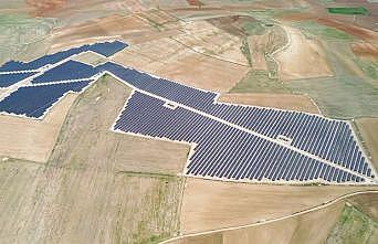 GES yatırımları yılda 900 binin üzerinde ağacı kazandıracak