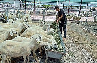 “Kayseri'de bir numara Talas Belediyesi”