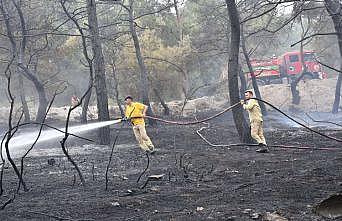 İtfaiye'nin yangın mücadelesi sürüyor