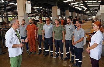 Osmangazi’de Kurban Yakalama Timi göreve hazır