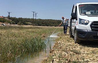 Veterinerlik İşleri Müdürlüğü larvasit mücadelesini sürdürüyor