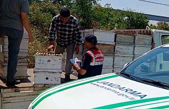 Edirne'de arıcılara önemli uyarı