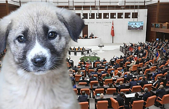 Ötanazi&nbsp;Türkiye'de yasal değildir!