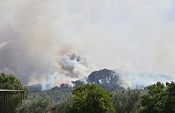 Alevlerin Arasında, Kahramanca Mücadele