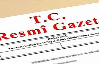 Bugün yürürlüğe girdi! Yurt dışı çıkış harç pulu 500 TL oldu!