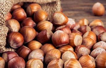 Fındık alım fiyatları belirlendi