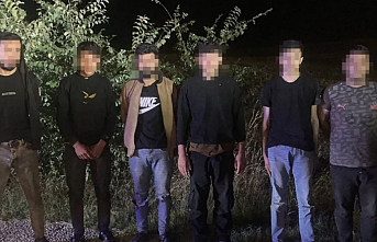 İki ayrı operasyonda 15 düzensiz göçmen yakalandı