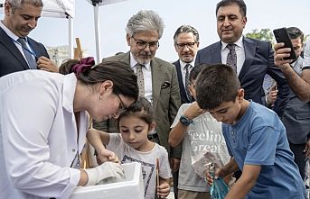 İstanbul'da okul öncesi eğitim şenliği
