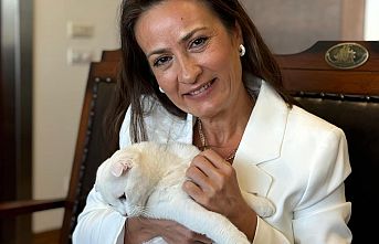 Katilleri Cesaretlendirdiler