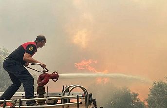 Muğla'daki yangınlar kontrol altına alındı