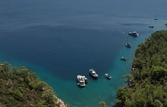 Muğla’ya 220 davalı koruma