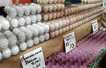 Pazarlarda köy yumurtasına yoğun ilgi