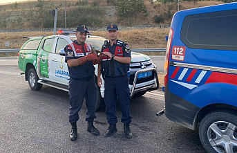 Yaralı şahin HAYDİ Mobil Uygulaması sayesinde kurtarıldı