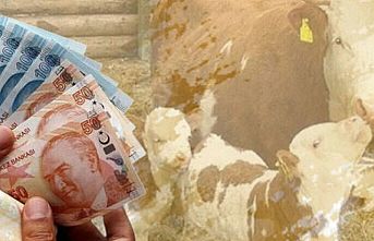 2,9 milyar TL'lik tarımsal destekler hesaplarda