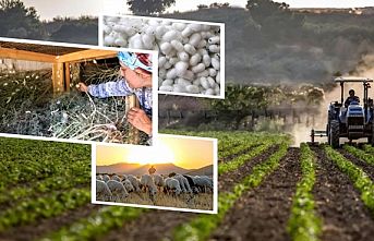 406,6 milyon TL'lik tarımsal desteklemeler hesaplarda