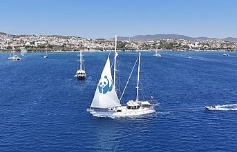 Blue Panda Türkiye'ye veda etti