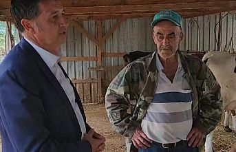 Böyle giderse içecek süt bulamayız